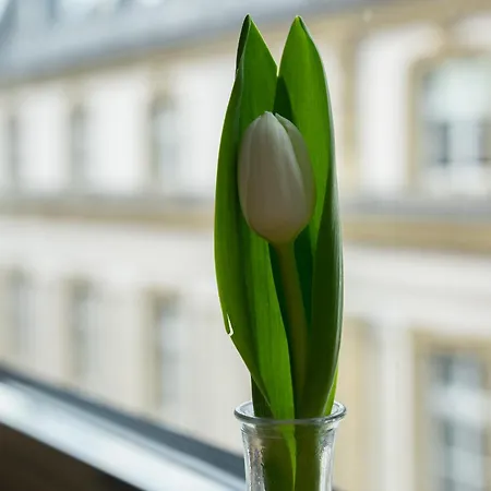 Sankt Andreas Düsseldorf