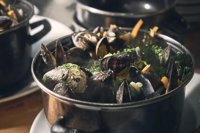 圣安地列斯酒店 酒店